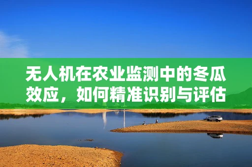 无人机在农业监测中的冬瓜效应，如何精准识别与评估？
