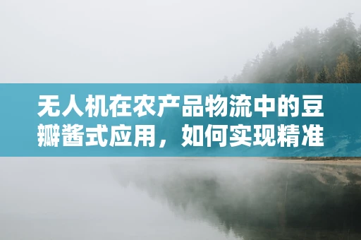 无人机在农产品物流中的豆瓣酱式应用，如何实现精准监控与高效配送？