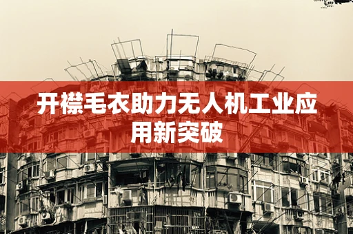 开襟毛衣助力无人机工业应用新突破