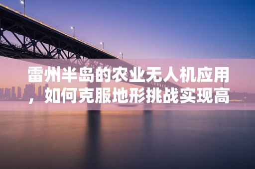 雷州半岛的农业无人机应用，如何克服地形挑战实现高效作业？
