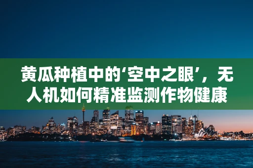 黄瓜种植中的‘空中之眼’，无人机如何精准监测作物健康？