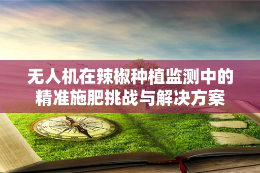 无人机在辣椒种植监测中的精准施肥挑战与解决方案