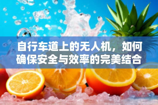 自行车道上的无人机，如何确保安全与效率的完美结合？