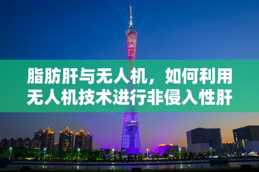 脂肪肝与无人机，如何利用无人机技术进行非侵入性肝病监测？