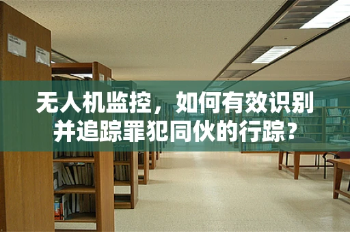 无人机监控，如何有效识别并追踪罪犯同伙的行踪？