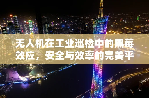 无人机在工业巡检中的黑莓效应，安全与效率的完美平衡？