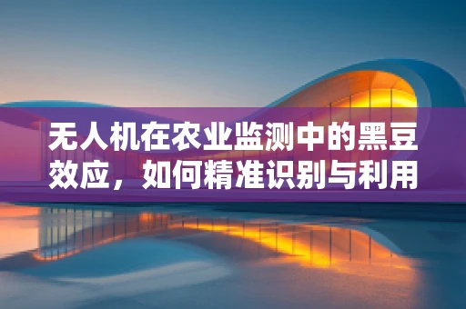 无人机在农业监测中的黑豆效应，如何精准识别与利用？