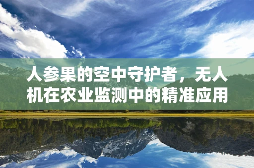 人参果的空中守护者，无人机在农业监测中的精准应用