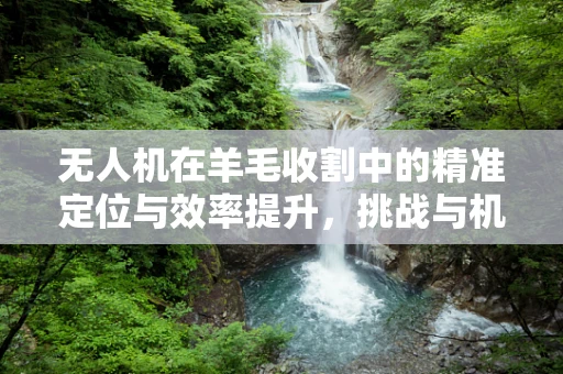 无人机在羊毛收割中的精准定位与效率提升，挑战与机遇