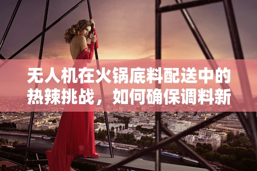 无人机在火锅底料配送中的热辣挑战，如何确保调料新鲜送达？