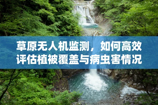 草原无人机监测，如何高效评估植被覆盖与病虫害情况？