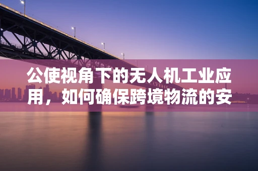 公使视角下的无人机工业应用，如何确保跨境物流的安全与效率？