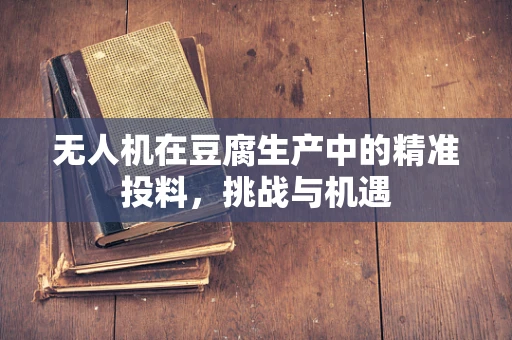 无人机在豆腐生产中的精准投料，挑战与机遇