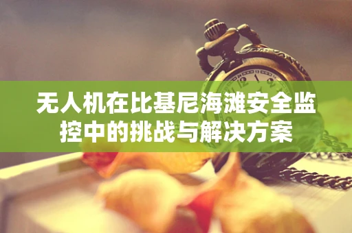 无人机在比基尼海滩安全监控中的挑战与解决方案