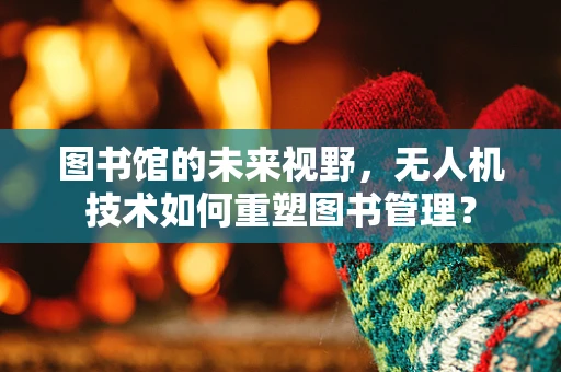 图书馆的未来视野，无人机技术如何重塑图书管理？