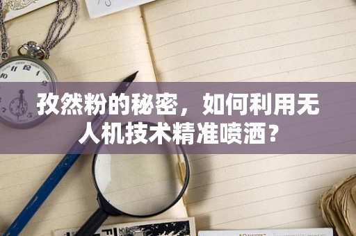 孜然粉的秘密，如何利用无人机技术精准喷洒？