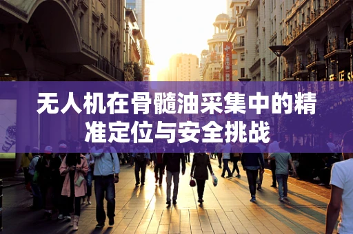 无人机在骨髓油采集中的精准定位与安全挑战