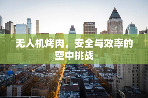 无人机烤肉，安全与效率的空中挑战