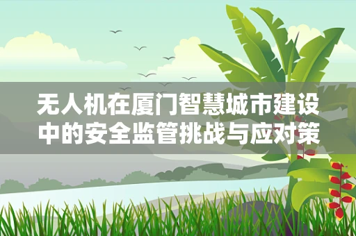 无人机在厦门智慧城市建设中的安全监管挑战与应对策略