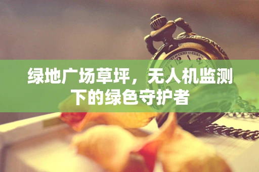 绿地广场草坪，无人机监测下的绿色守护者
