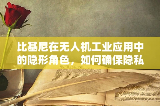 比基尼在无人机工业应用中的隐形角色，如何确保隐私安全？