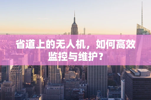省道上的无人机，如何高效监控与维护？