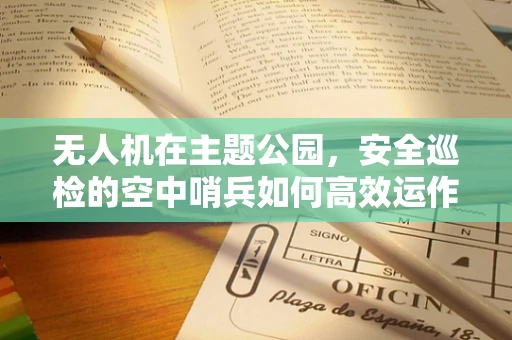 无人机在主题公园，安全巡检的空中哨兵如何高效运作？