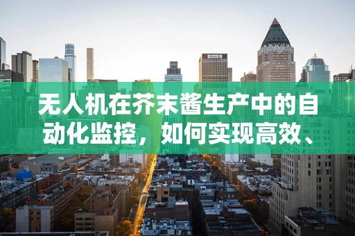 无人机在芥末酱生产中的自动化监控，如何实现高效、无损的实时监测？