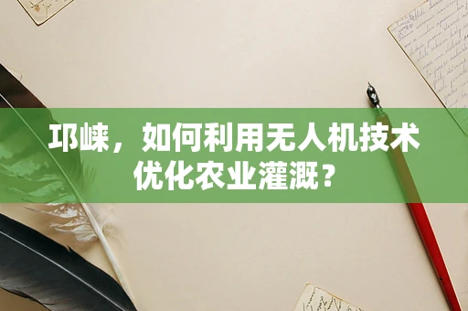 邛崃，如何利用无人机技术优化农业灌溉？