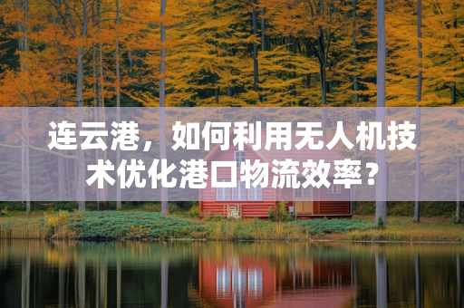 连云港，如何利用无人机技术优化港口物流效率？