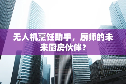无人机烹饪助手，厨师的未来厨房伙伴？