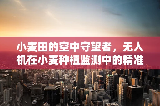 小麦田的空中守望者，无人机在小麦种植监测中的精准挑战