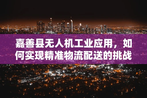 嘉善县无人机工业应用，如何实现精准物流配送的挑战与对策？