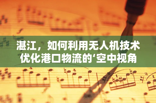 湛江，如何利用无人机技术优化港口物流的‘空中视角’？