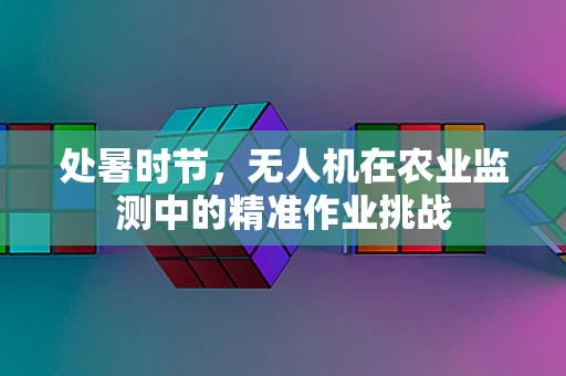 处暑时节，无人机在农业监测中的精准作业挑战