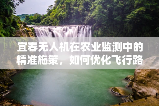 宜春无人机在农业监测中的精准施策，如何优化飞行路径以提升监测效率？