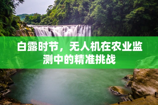 白露时节，无人机在农业监测中的精准挑战