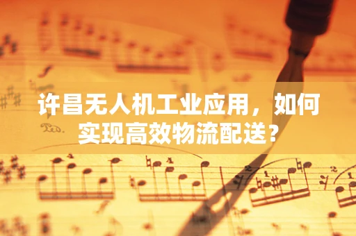 许昌无人机工业应用，如何实现高效物流配送？