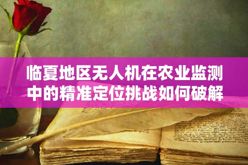 临夏地区无人机在农业监测中的精准定位挑战如何破解？