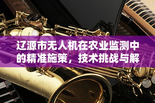 辽源市无人机在农业监测中的精准施策，技术挑战与解决方案？