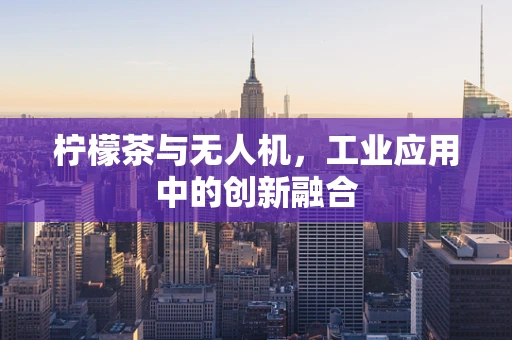 柠檬茶与无人机，工业应用中的创新融合
