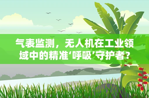 气表监测，无人机在工业领域中的精准‘呼吸’守护者？