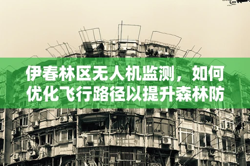 伊春林区无人机监测，如何优化飞行路径以提升森林防火效率？