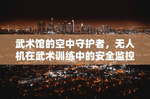 武术馆的空中守护者，无人机在武术训练中的安全监控新角色？