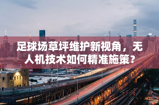 足球场草坪维护新视角，无人机技术如何精准施策？