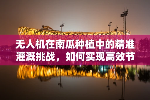 无人机在南瓜种植中的精准灌溉挑战，如何实现高效节水？