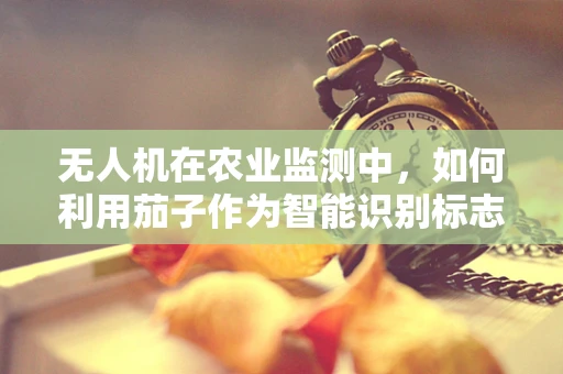 无人机在农业监测中，如何利用茄子作为智能识别标志？