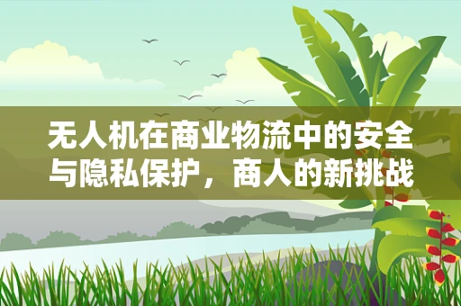 无人机在商业物流中的安全与隐私保护，商人的新挑战？