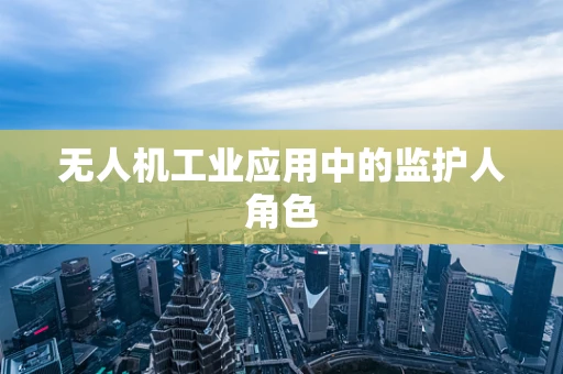 无人机工业应用中的监护人角色
