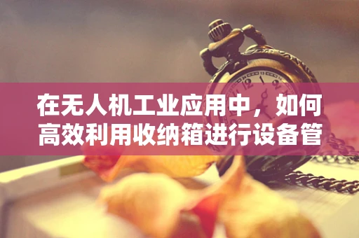 在无人机工业应用中，如何高效利用收纳箱进行设备管理与维护？